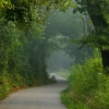 “Lands Worth Preserving,” Scenic Tennessee’s 2008-2009 Photo Contest